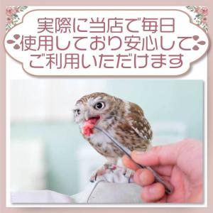 冷凍 マウス 餌 エサ 200匹 アダルトマウ...の詳細画像5
