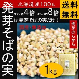 最終セール！送料無料 ★国産 三ツ星 発芽のちから そばの実 1kg ダイエット 北海道産 ヌキ実 平成29年度産 無添加 ソバの実 1袋 1kg  低カロリー