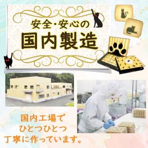 猫 お菓子 黒猫クッキー 20枚入り 1箱 ネ...の詳細画像2