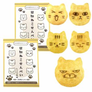 猫 お菓子 ねこせんべい 醤油味 20枚入り 2箱セット ネコ 本場草加煎餅 国内産うるち米 猫の顔型 個包装 プレゼント 国内製造 プチギフト 父の日 お中元