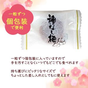 まろやか干し梅 梅干し お菓子 種なし 500...の詳細画像5