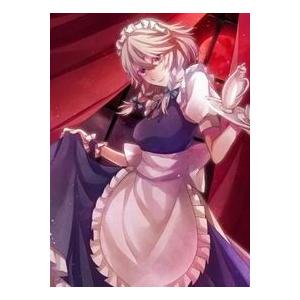 カードゲーム プレミアムデッキボックス Gamegenic Cardfight