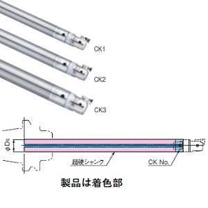 BIG DAISHOWA ST31W-CKB3-200 CKボーリングシステム ストレートシャンク ...