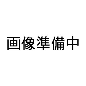 アカギ A11075-0565 どぶめっき丸ワッシャー W5/16(9X22X1.6)