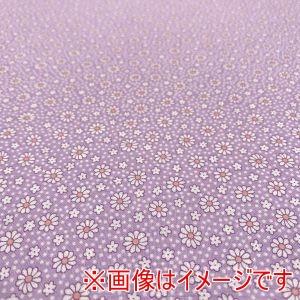 moda USA1364 30s PLAYTIME 2025 50cm×110cm メーカー直送 代...