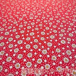 moda USA1365 30s PLAYTIME 2025 50cm×110cm メーカー直送 代...