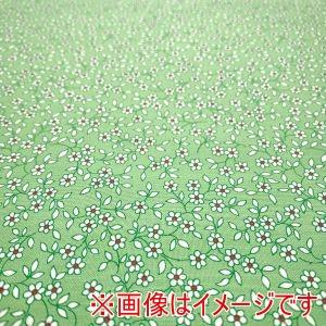 moda USA1368 30s PLAYTIME 2025 100cm×110cm メーカー直送 ...