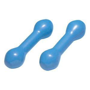 ダンノ ミニアレー1kg スカイブルー ダンベル 鉄アレイ トレーニング ウエイト エクササイズ 筋トレ DAN D851