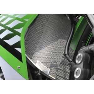 アグラス 309-478-B00 コアガード Bタイプ ロゴ無 ZX-10R 08-16 AGRAS