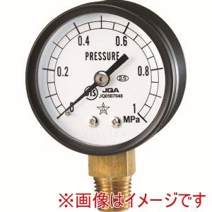 右下精器製造 S-11-R-2MPA 一般圧力計 圧力レンジ0〜2MPa 接続部サイズR1/4