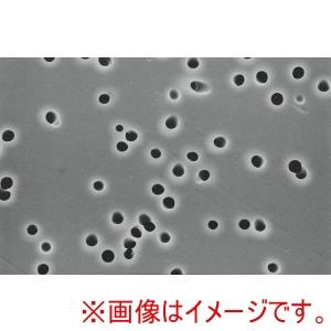 アドバンテック ポリカーボネートフィルタ 100枚の買取情報