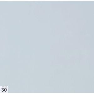 トラスコ ASSF-3030W-M10 エアーシャワー用粘着シート 穴なし 300X300 30枚 ...
