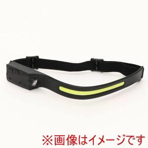 リンクサス HDL-DHL01 充電式デュアルヘッドライト