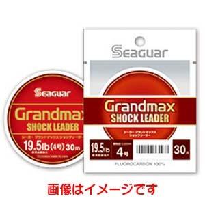 Seaguar（シーガー） クレハ/Kureha グランドマックス ショック