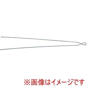 二藤レール 304000120-000-000 ノーリツばんせん#10 3.1mm ×800mm 2...