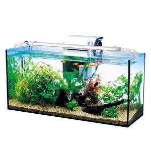 テトラ オールグラスアクアリウム600 熱帯魚セット 最安値 価格比較 Yahoo ショッピング 口コミ 評判からも探せる