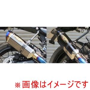 ビート 0222-KD8-MB ナサート-Evo TYPE2 S O メタルBLK ZX-10R 1...