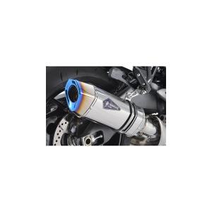 アールズギア GS19-T3ST GTスペック S O チタン GSX-S1000GT 22-