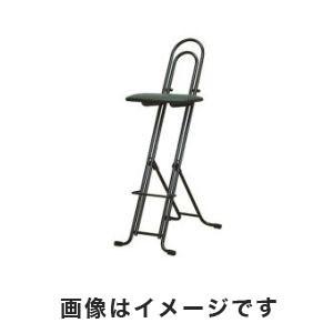 セイコー LP-850/01 RS 折り畳み式チェア ジャンボベストワーク メーカー直送 代引不可 沖縄 離島不可