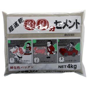 家庭化学工業 超速乾30分セメント グレー 4kg