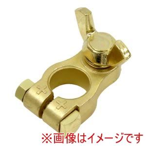 大自工業 #4D-8+ バッテリーターミナル + 大ポール D端子 蝶ネジ径8mm