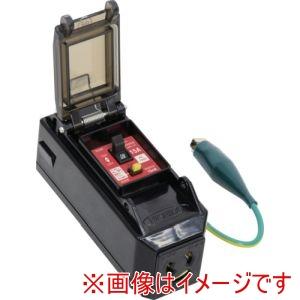 日動工業 PIPB-EKN-S プラコンインポッキンブレーカ 過負荷漏電保護兼用 抜け止めコンセント