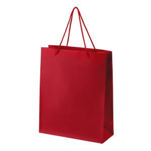 パール 真心ギフトバッグ Lサイズ WIの商品画像