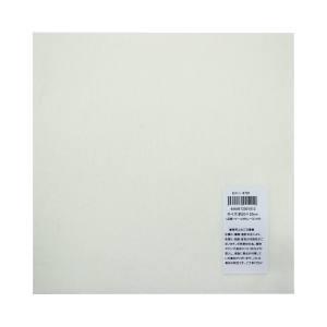 【メール便選択可】サンフェルト フェルト ミニー 20×20cm MBON20 701