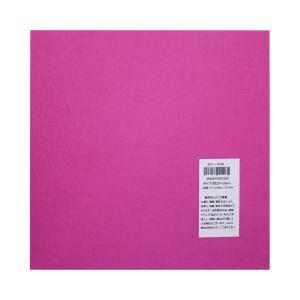【メール便選択可】サンフェルト フェルト ミニー 20×20cm MBON20 126