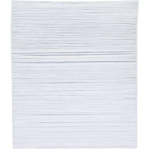 アイリスオーヤマ HXF-A25HF 272072 加湿空気清浄機集塵フィルター