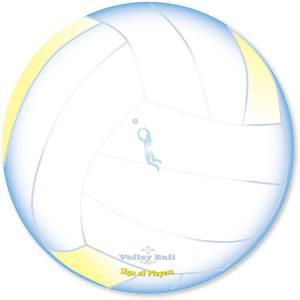 MIKASA（ミカサ） 記念品用マスコットボール18枚パネル V030W 化粧