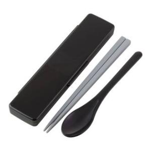 スケーター リッチブラック 抗菌食洗機対応 コンビセット CCS45SAAGの商品画像