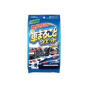 カーオール 2008 車まるごとウエット