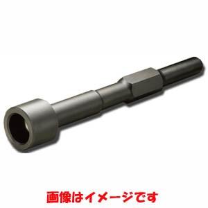 ハウスビーエム 【ハウスビーエム】ハウスBM 打込み棒 ZDタイプ SDS