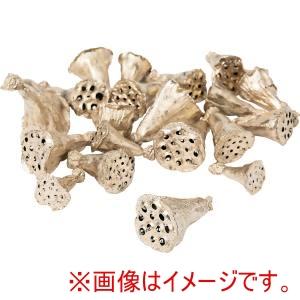 大地農園 ミニハス 小 ヤク20コ プラチナ