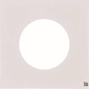 トラスコ ASS-3030W エアーシャワー用粘着シート 300X300 30枚 高粘度 白 TRU...