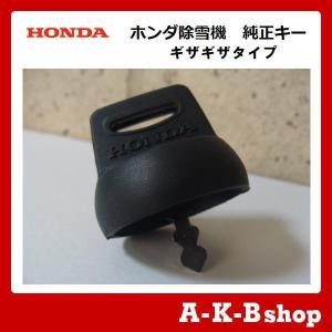 カキ 16》KABA-8155-LZ-2MIWA LZ-2 勝手口の鍵(カギ)のハイ
