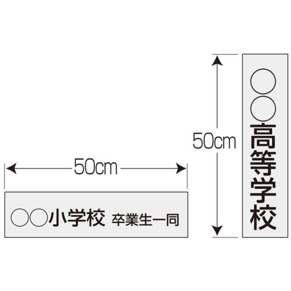 【送料無料】ダンノ 名入れカッティングフィルム （巾１０ｃｍに付） DANNO D1187