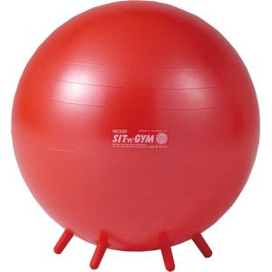 【新品・未使用品】Gymnic Plus バランスボール 55cm 赤　レッド ポンプ付) ギムニク (GYMNIC) PLUS (プラス) 55 赤 レッド LP9528
