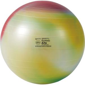 GYMNIC バランスボール 「ギムニクプラス（GYMNIC PLUS）65cm