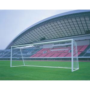 【送料無料】ダンノ 一般サッカーネット 一般サッカー７２０ DANNO D6703