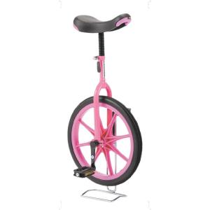エバニュー EKD136 P 一輪車（ノーパンク） 16 ピンク EVERNEW
