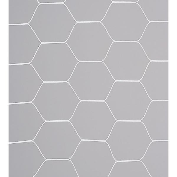 エバニュー EKD861 フットサルネット 亀甲タイプ Ｆ１０５ EVERNEW