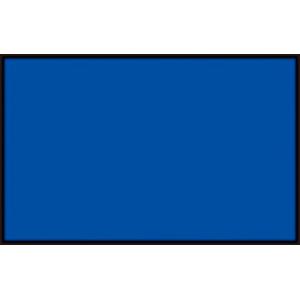 【送料２９０円】フットマーク カラーマーク １０枚入り ネイビー FOOTMARK 101700 08