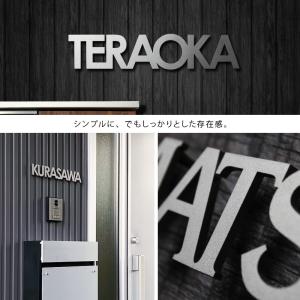 表札 アイアン おしゃれ ステンレス 戸建て ...の詳細画像3