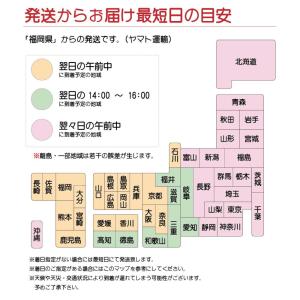 メダカ 半ダルマ系 三色ラメ 三色ラメ 半ダル...の詳細画像5