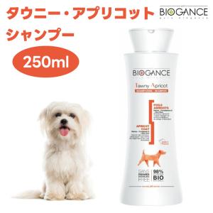 BIOGANCE（バイオガンス） 2in1コンディショニングシャンプー 250ml 2