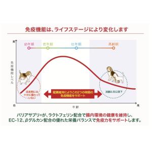 バリアサプリ ドッグ アダルト・シニア 90g...の詳細画像2