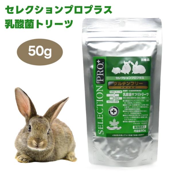 イースター セレクションプロプラス 50g 乳酸菌サプリトリーツ グルテンフリー 草食 小動物 うさ...