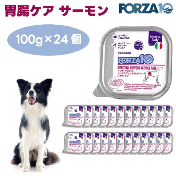 Forza10 アクティウェット インテスティナルサポート 胃腸ケア  サーモン パテタイプ 100...